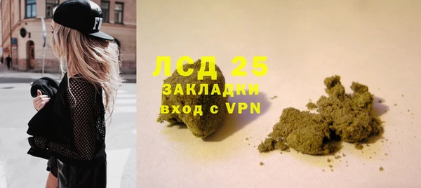 ГАЛЛЮЦИНОГЕННЫЕ ГРИБЫ Алексин
