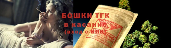 ГАЛЛЮЦИНОГЕННЫЕ ГРИБЫ Алексин