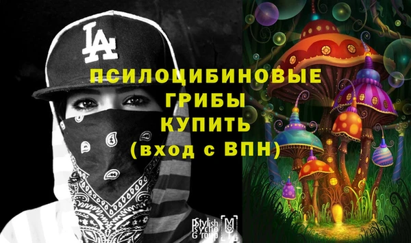 ГАЛЛЮЦИНОГЕННЫЕ ГРИБЫ Алексин