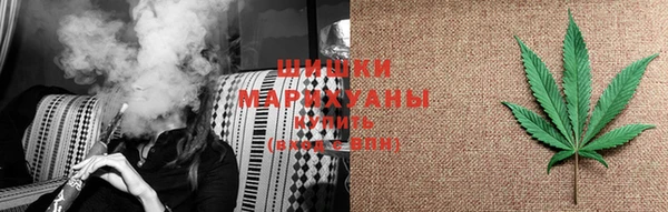 ГАЛЛЮЦИНОГЕННЫЕ ГРИБЫ Алексин