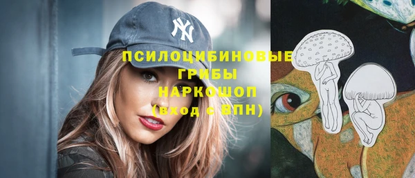 ГАЛЛЮЦИНОГЕННЫЕ ГРИБЫ Алексин